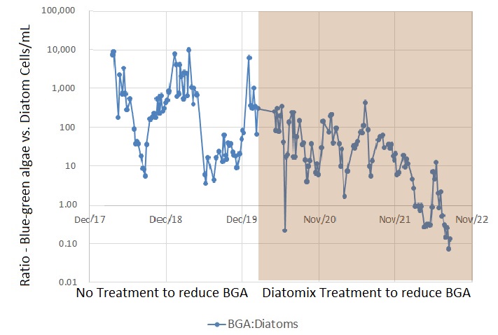 Graph depicting Cyanobacteria vs. Diatom Cell Ratio: Impact of Diatomix Treatment on Waterbody - Reduced Cyanobacterial Cell Count